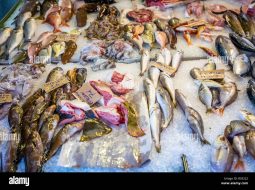 Where-to-Find-the-Freshest-Fish-in-Corfu-A-Seafood-Lovers-Guide